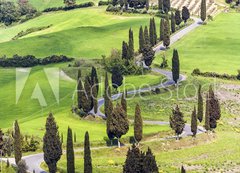 Samolepka flie 200 x 144  Road with curves and cypresses in Tuscany, Italy, 200 x 144 cm