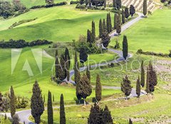 Fototapeta254 x 184  Road with curves and cypresses in Tuscany, Italy, 254 x 184 cm