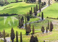 Fototapeta papr 254 x 184, 61217216 - Road with curves and cypresses in Tuscany, Italy