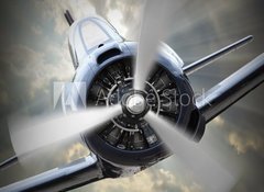 Fototapeta100 x 73  Propeller plane., 100 x 73 cm