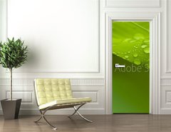 Samolepka na dvee flie 90 x 220  Plant, 90 x 220 cm