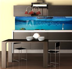 Fototapeta do kuchyně fólie 260 x 60, 61530443 - Tropical underwater shot splitted with ship and sky - Tropické podvodní výstřel rozdělený lodí a oblohou