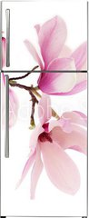 Samolepka na lednici flie 80 x 200, 61798470 - Pink spring magnolia flowers branch