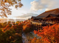 Samolepka flie 100 x 73, 61926221 - Kiyomizu-dera temple in Kyoto