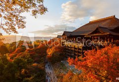 Fototapeta pltno 174 x 120, 61926221 - Kiyomizu-dera temple in Kyoto