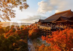 Fototapeta papr 184 x 128, 61926221 - Kiyomizu-dera temple in Kyoto