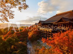 Fototapeta pltno 330 x 244, 61926221 - Kiyomizu-dera temple in Kyoto