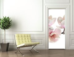 Samolepka na dvee flie 90 x 220, 61937427 - spring