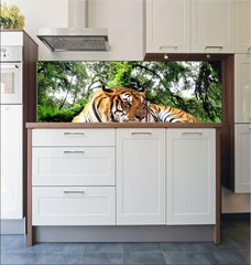 Fototapeta do kuchyn flie 180 x 60  Tiger looking something on the rock in tropical evergreen forest, 180 x 60 cm