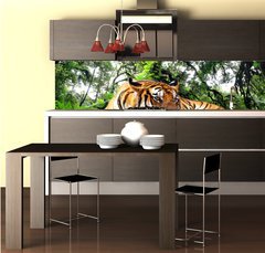 Fototapeta do kuchyně fólie 260 x 60, 61968911 - Tiger looking something on the rock in tropical evergreen forest - Tygr hledá něco na skále v tropickém stálezeleném lese