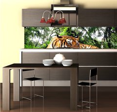 Fototapeta do kuchyn flie 260 x 60  Tiger looking something on the rock in tropical evergreen forest, 260 x 60 cm