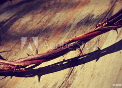 Fototapeta plátno 160 x 116, 62186760 - the Jesus Christ crown of thorns, with a retro filter effect - korunu trní Ježíše Krista, s retrofiltrem