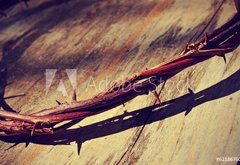 Fototapeta pltno 174 x 120, 62186760 - the Jesus Christ crown of thorns, with a retro filter effect