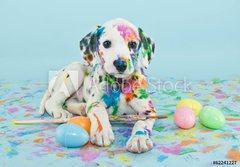 Fototapeta papr 184 x 128, 62241227 - Easter Dalmatain Puppy