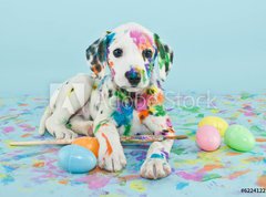 Samolepka flie 270 x 200, 62241227 - Easter Dalmatain Puppy