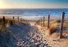 Fototapeta174 x 120  path to North sea beach in gold sunshine, 174 x 120 cm