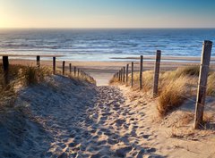 Fototapeta330 x 244  path to North sea beach in gold sunshine, 330 x 244 cm