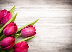 Samolepka fólie 200 x 144, 62462522 - Tulip.