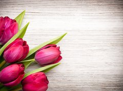 Samolepka fólie 270 x 200, 62462522 - Tulip.