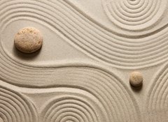 Samolepka flie 100 x 73, 62532777 - Zen garden