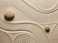 Samolepka flie 270 x 200, 62532777 - Zen garden - Zen zahrada