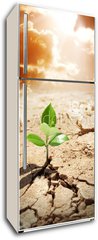Samolepka na lednici fólie 80 x 200, 62660495 - plant in arid land - climate warming and drought concept - rostlin na suchém pozemku