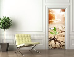 Samolepka na dvee flie 90 x 220  plant in arid land  climate warming and drought concept, 90 x 220 cm