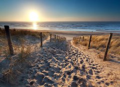 Samolepka flie 100 x 73, 62704922 - sunshine over path to beach in North sea - slunce pes cestu na pl v Severnm moi
