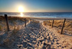 Fototapeta145 x 100  sunshine over path to beach in North sea, 145 x 100 cm