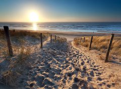 Fototapeta330 x 244  sunshine over path to beach in North sea, 330 x 244 cm