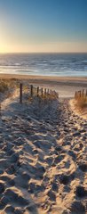 Samolepka na dvee flie 90 x 220  sunshine over path to beach in North sea, 90 x 220 cm