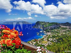 Fototapeta330 x 244  beautiful Capri island  Italian travel series, 330 x 244 cm