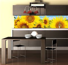 Fototapeta do kuchyn flie 260 x 60, 62796944 - sunflower field and blue sky with clouds