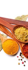 Samolepka na dvee flie 90 x 220, 62864850 - Spices and herbs. Curry, saffron, turmeric, cinnamon over white