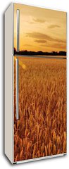 Samolepka na lednici flie 80 x 200, 6287668 - Field of wheat at sunset