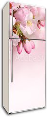 Samolepka na lednici flie 80 x 200, 62918390 - Spring flowers background with pink blossom - Jarn kvtiny pozad s rovm kvtem