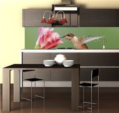 Fototapeta do kuchyn flie 260 x 60  Ruby throated Hummingbird (archilochus colubris), 260 x 60 cm