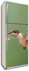 Samolepka na lednici flie 80 x 200  Ruby throated Hummingbird (archilochus colubris), 80 x 200 cm