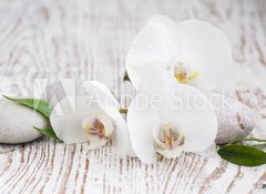 Samolepka flie 100 x 73, 63054309 - Orchids spa - Orchidejov lzn