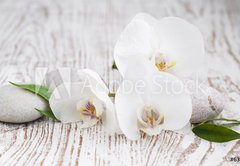 Fototapeta pltno 174 x 120, 63054309 - Orchids spa