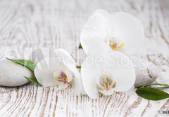 Fototapeta papr 184 x 128, 63054309 - Orchids spa