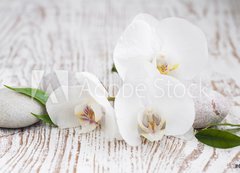 Samolepka flie 200 x 144, 63054309 - Orchids spa