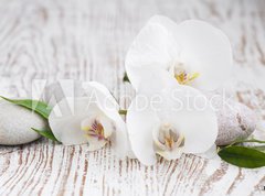 Samolepka flie 270 x 200, 63054309 - Orchids spa