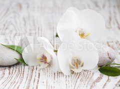Fototapeta pltno 330 x 244, 63054309 - Orchids spa
