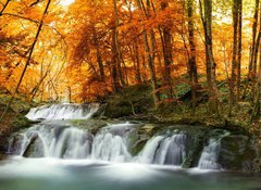 Samolepka flie 100 x 73, 63059760 - forest waterfall - lesn vodopd