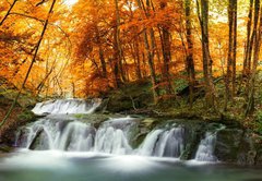 Fototapeta174 x 120  forest waterfall, 174 x 120 cm