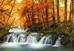 Fototapeta184 x 128  forest waterfall, 184 x 128 cm