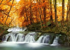 Samolepka flie 200 x 144, 63059760 - forest waterfall
