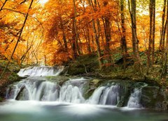Fototapeta papr 254 x 184, 63059760 - forest waterfall