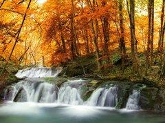 Samolepka flie 270 x 200  forest waterfall, 270 x 200 cm